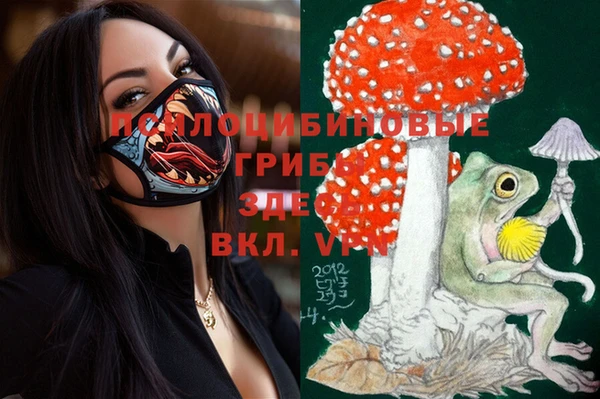 Альфа ПВП Аркадак