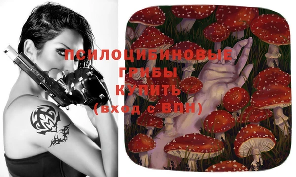 ГАЛЛЮЦИНОГЕННЫЕ ГРИБЫ Арсеньев