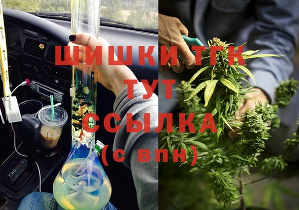 Альфа ПВП Аркадак