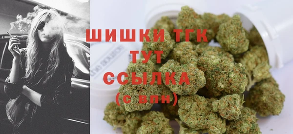 ГАЛЛЮЦИНОГЕННЫЕ ГРИБЫ Арсеньев