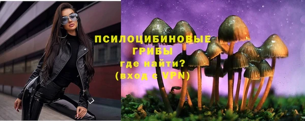 Альфа ПВП Аркадак