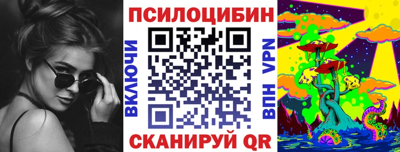 Псилоцибиновые грибы Psilocybe  Купить  Новосокольники 
