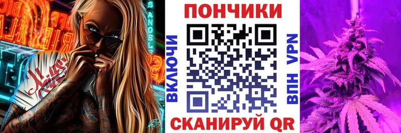 Купить  Новосокольники  Бошки Шишки ГИДРОПОН 